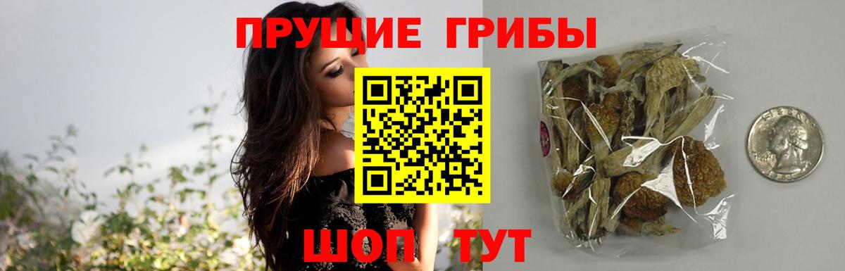 Псилоцибиновые грибы ЛСД  Вход с VPN  Псилоцибиновые грибы Cubensis  Всеволожск 